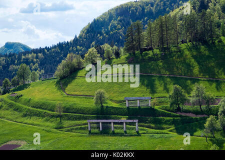 Grünen Wiesen am Dorf Sorica, einem der schönsten Bergdörfer in Slowenien. Stockfoto