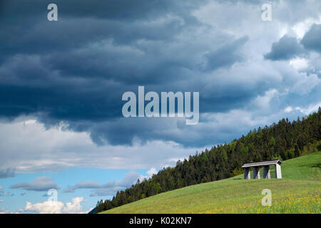 Grünen Wiesen am Dorf Sorica, einem der schönsten Bergdörfer in Slowenien. Stockfoto