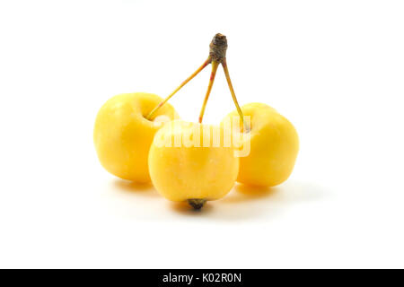 Malus floribunda var Golden Hornet auf weißem Hintergrund Stockfoto