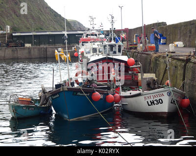 Fischerboote im Burnmouth Hafen Stockfoto