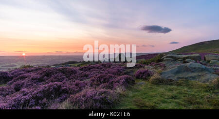 Die atemberaubende Ilkley Moor bei Sonnenaufgang im Sommer 2017, vollgepackt mit schönen lila heidekraut Stockfoto