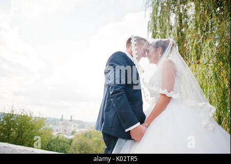 Gut - neu verheiratete Paare einander in die Augen schauen unter dem Schleier in den Park an einem hellen und sonnigen Hochzeitstag. Stockfoto