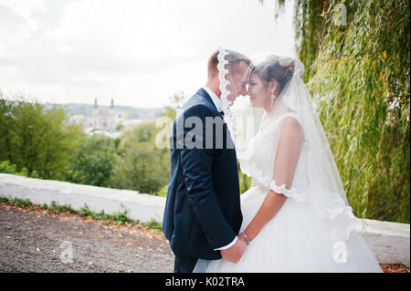 Gut - neu verheiratete Paare einander in die Augen schauen unter dem Schleier in den Park an einem hellen und sonnigen Hochzeitstag. Stockfoto