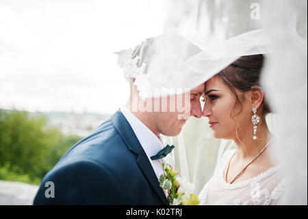 Gut - neu verheiratete Paare einander in die Augen schauen unter dem Schleier in den Park an einem hellen und sonnigen Hochzeitstag. Stockfoto