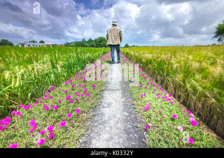 Man ging gegen Ende der Straße mit zwei Seiten entlang ist portulak Blume wunderschöne Blüte im Morgen, Szene, ländliche Landschaft schöne Stockfoto