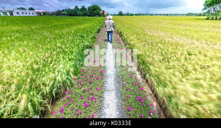 Man ging gegen Ende der Straße mit zwei Seiten entlang ist portulak Blume wunderschöne Blüte im Morgen, Szene, ländliche Landschaft schöne Stockfoto