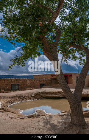 Einsamer Baum auf der Bergspitze plus Teich und Home. Eine der ältesten kontinuierlich bewohnten Siedlungen in Nordamerika, Acoma Pueblo Sky City, New Jersey Stockfoto