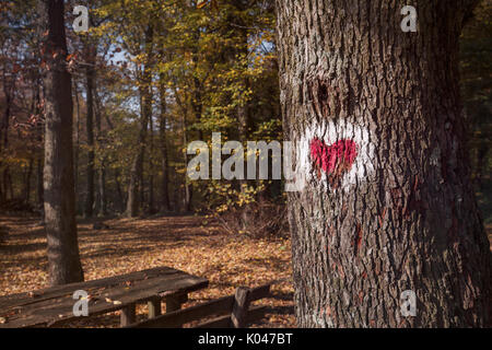 Bild von roten Herzen auf Baum gemalt Stockfoto