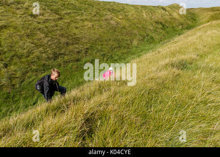 Lansdowne Denkmal auf Cherhill downs Wiltshire UK Stockfoto