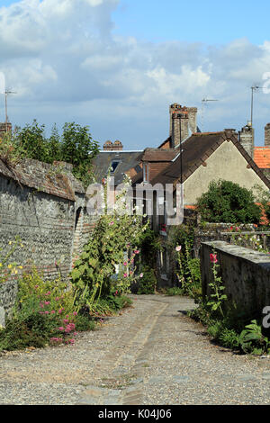 Gepflasterten Straße mit Wänden und Pflanzen in der Rue de la Fosse, Saint Valery sur Somme, Somme, Hauts-de-France, Frankreich Stockfoto