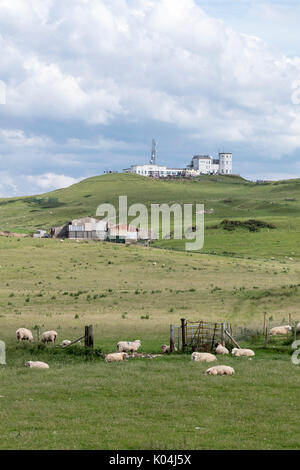 Parc Bauernhof Schäferei in der Nähe des Großen Ormes Head Gipfel im Norden von Wales Stockfoto