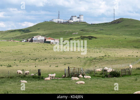 Parc Bauernhof Schäferei in der Nähe des Großen Ormes Head Gipfel im Norden von Wales Stockfoto