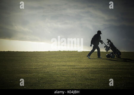 Auf dem Golfplatz Stockfoto