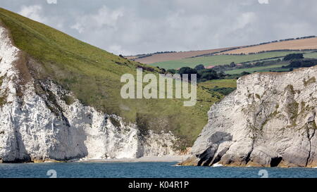 Weiß erodieren Kreidefelsen Struktur aus Mupe Bucht auf der linken Seite, durch Arish Mell und in Richtung Worbarrow auf der Jurassic Coast, Dorset UK Stockfoto