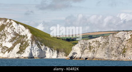 Weiß erodieren Kreidefelsen Struktur aus Mupe Bucht auf der linken Seite, durch Arish Mell und in Richtung Worbarrow auf der Jurassic Coast, Dorset UK Stockfoto