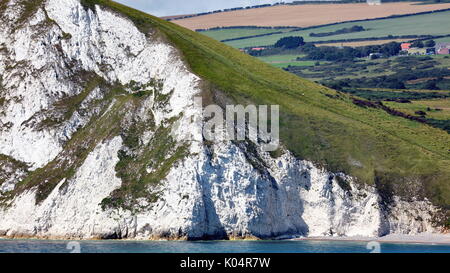 Weiße Kreidefelsen Struktur mit historischen Erdrutschen zu westlich von arish Mell Strand an der Jurassic Coast, Dorset UK Stockfoto