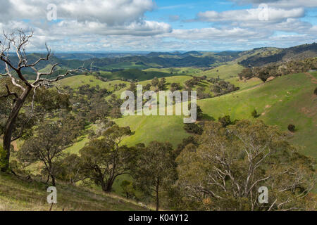 Blick von Murchison Lookout, Strath Creek, Victoria, Australien Stockfoto