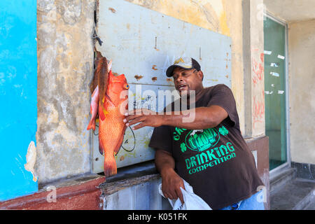 Straßenhändler verkaufen eine rote Hinterflügel (auch als Glück, Zackenbarsch) Fisch in einer Straße in der Altstadt von Havanna, Kuba Stockfoto