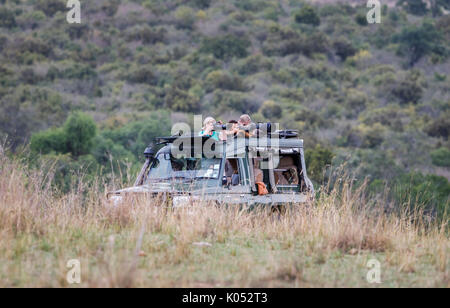 Fotograf Touristen stehen Ihre Kameras und lange Teleobjektive auf die Tierwelt aus einer typischen offenen Jeep Safari in die Masai Mara, Kenia zu trainieren Stockfoto