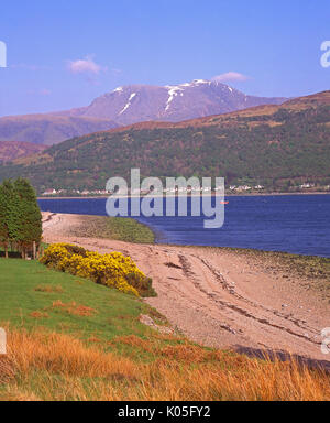 Schönen Frühling Blick auf Ben Nevis und Fort William aus über Loch Eil, Lochaber, Westschottland Stockfoto