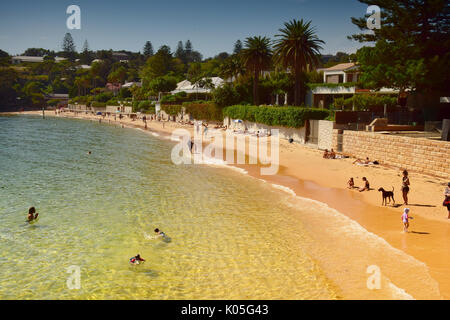 Camp Cove Beach, Sydney, New South Wales, Australien Stockfoto