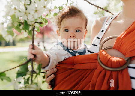 Nicht erkennbare junge Mutter mit ihrem Säugling Baby im Tragetuch Outdor. Mutter ist ihr Kind und zeigt Details der Natur. Baby hält eine Blume in seinem Stockfoto