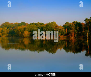 Herbst, Bäume im See widerspiegeln Stockfoto