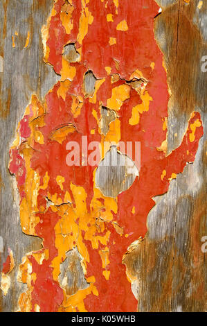 Verwitterte lackierte Holztafel mit alten flockig Farbe Stockfoto
