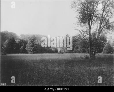 Anzeigen von unberührtem Land in der Nähe von Roland Park und Guilford, das Gras ist lang und es gibt Unkraut, Es gibt verschiedene Arten von Bäumen, die das Land in den Hintergrund, Baltimore, Maryland, 1910. Stockfoto