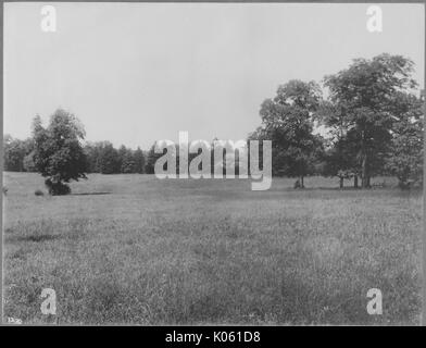 Unbesetztes Land in der Nähe von Roland Park und Guilford, es gibt eine Menge von unbeschnittenen Gras und Bäume sind auf dem Rasen verstreut und auch den Hintergrund, die Vereinigten Staaten, 1910. Dieses Bild wird von einer Reihe dokumentieren den Bau und den Verkauf von Wohnungen in der Roland Park/Guilford Nachbarschaft von Baltimore, einer Straßenbahn Vorort und eines der ersten geplanten Gemeinschaften in den Vereinigten Staaten. Stockfoto