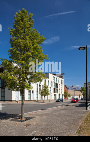 Die sehr abwechslungsreichen architektonischen Stile von Häusern und Wohnungen, die ein Teil der Eco-design Entwicklung am Upton ein Vorort von Northampton, England, Großbritannien Stockfoto