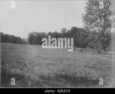 Unbesetztes Land in der Nähe von Roland Park und Guilford, es gibt eine Menge von unbeschnittenen Gras und Bäumen, die den Hintergrund, United States, 1910. Dieses Bild wird von einer Reihe dokumentieren den Bau und den Verkauf von Wohnungen in der Roland Park/Guilford Nachbarschaft von Baltimore, einer Straßenbahn Vorort und eines der ersten geplanten Gemeinschaften in den Vereinigten Staaten. Stockfoto