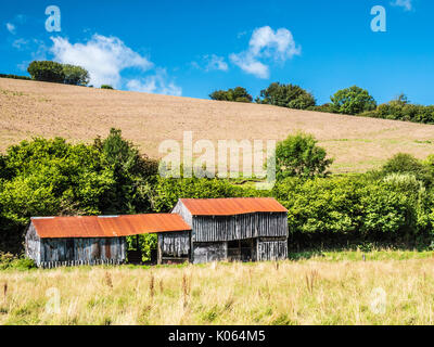 Eine alte Wellblech Scheune in einem Feld in Somerset. Stockfoto