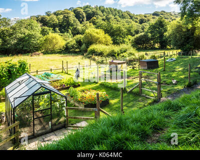 Ein kleiner Gemüsegarten und Chicken run in Somerset. Stockfoto