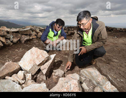 (170821) - WENQUAN, Aug 21, 2017 (Xinhua) - der Chef einer Archäologie Team Dr. Jia Xiaobing (R) zeigt ein Pferd Schädel in einer Siedlung in Wenquan County im Nordwesten Chinas Autonome Region Xinjiang Uygur, Aug 20, 2017 ausgegraben. Mehr als 50 Experten aus staatlichen Verwaltung des kulturellen Erbes, das Institut für Archäologie der Chinesischen Akademie der Sozialwissenschaften und der Peking Universität nahmen an einem Symposium in Wenquan Grafschaft, in der Erkenntnis, dass die Siedlung, bestehend aus Gräber und Ruinen von Wohn Strukturen stammt aus 3600 Jahren. Elemente und Struktur Ruinen ausgegraben in der settlemen Stockfoto
