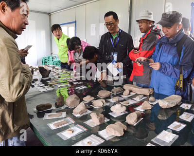 (170821) - WENQUAN, Aug 21, 2017 (Xinhua) - Experten und Wissenschaftler untersuchen Elemente aus einer Siedlung in Wenquan County im Nordwesten Chinas Autonome Region Xinjiang Uygur, Aug 20, 2017 ausgegraben. Mehr als 50 Experten aus staatlichen Verwaltung des kulturellen Erbes, das Institut für Archäologie der Chinesischen Akademie der Sozialwissenschaften und der Peking Universität nahmen an einem Symposium in Wenquan Grafschaft, in der Erkenntnis, dass die Siedlung, bestehend aus Gräber und Ruinen von Wohn Strukturen stammt aus 3600 Jahren. Elemente und Struktur Ruinen ausgegraben in der Siedlung seit 2016 Angeboten wichtige Val Stockfoto