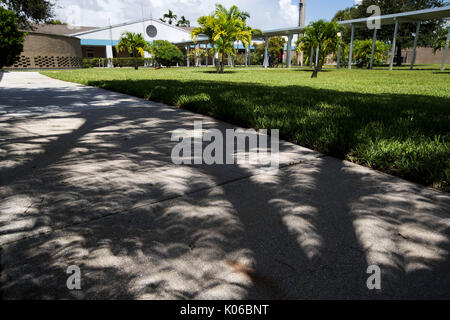 Boynton Beach, Florida, USA. 21 Aug, 2017. Sichelförmige Schatten werden durch die partielle Sonnenfinsternis die Sonne als Licht scheint durch am Baum auf Christa McAuliffe Middle School Campus in Boynton Beach, Florida, am 21. August 2017 gegründet. Credit: Allen Eyestone/der Palm Beach Post/ZUMA Draht/Alamy leben Nachrichten Stockfoto