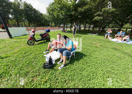 New York, Vereinigte Staaten. 21 Aug, 2017. New York, NY, USA - 21. August 2017: Gruppe von Menschen mit behelfsmäßigen Pinhole Kameras partielle Sonnenfinsternis in Flushing Meadow-Corona Park in Queens Borough von New York Credit View: Lev radin/Alamy leben Nachrichten Stockfoto