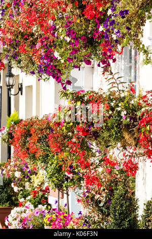 Anzeige von hängenden roten Blüten von Körben auf der Wand des weißen Gebäude an der Küste von Deal in Kent. Stockfoto