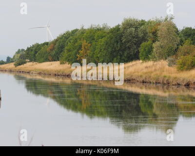 Sheerness, Kent. 22 Aug, 2017. UK: Ein warmes Wetter morgen (19° C) mit der Sun versucht durch die Wolkendecke zu brechen. Schöne Farben und Reflexionen auf dem Canal Bank. Credit: James Bell/Alamy leben Nachrichten Stockfoto
