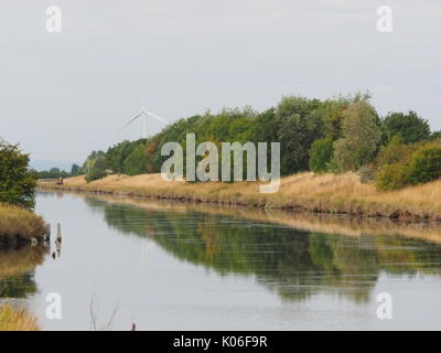 Sheerness, Kent. 22 Aug, 2017. UK: Ein warmes Wetter morgen (19° C) mit der Sun versucht durch die Wolkendecke zu brechen. Schöne Farben und Reflexionen auf dem Canal Bank. Credit: James Bell/Alamy leben Nachrichten Stockfoto