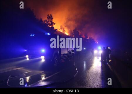 (170822) - DUBCI, Aug 22, 2017 (Xinhua) - Feuerwehrmänner probieren Sie ein wildes Feuer in der Nähe des Dorfes Dubci in Kroatien, am 12.08.21., 2017. Das Feuer war in der Nacht zum 12.08.20. hat unter Kontrolle gestellt worden. (Xinhua / Ivo Cagalj) (SRB) Stockfoto