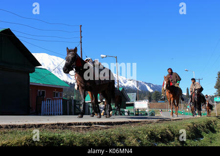 Cowboys reiten auf ihren Pferden in Gulmarg, Indien. Majestätisch, Abenteuer. Stockfoto