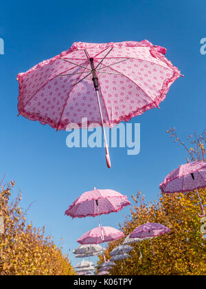 Rosa Sonnenschirme steigen in den blauen Himmel Stockfoto