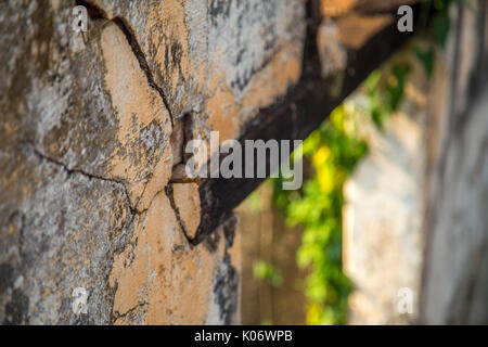Distillery abgebrochen Stockfoto