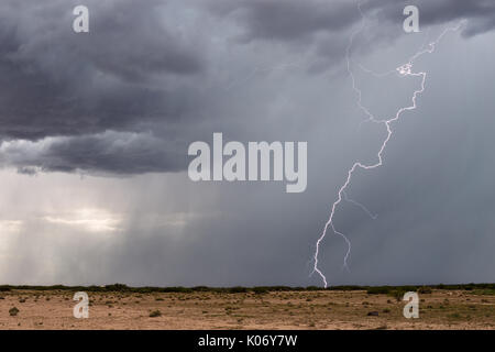 Heftiger Regen und Blitzschlag in der Wüste von Arizona während eines Monsunwitters Stockfoto