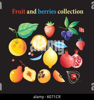 Vektor einrichten von hellen leckere Früchte und Beeren auf einem dunklen Hintergrund Stock Vektor