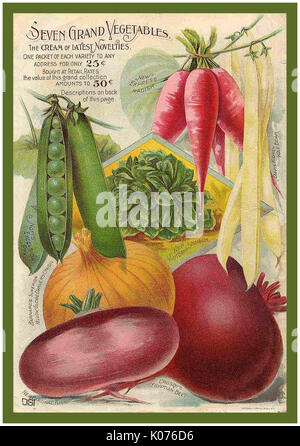 Jahrgang 1800 Samen Paket Poster Werbung. Barnard sieben Grand Gemüse Erbsen, Radieschen, Rüben, Zwiebeln Vintage Blumen Obst & Gemüse Saatgutpackungen Katalog Werbung Art Poster. Stockfoto