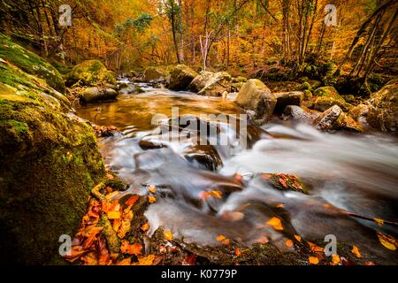 Der Dardagna fällt, Corno Alle Scale Naturpark, Bologna, Emilia Romagna, Italien Stockfoto