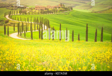 Podere Baccoleno, Asciano, Crete Senesi, Toskana, Italien Stockfoto